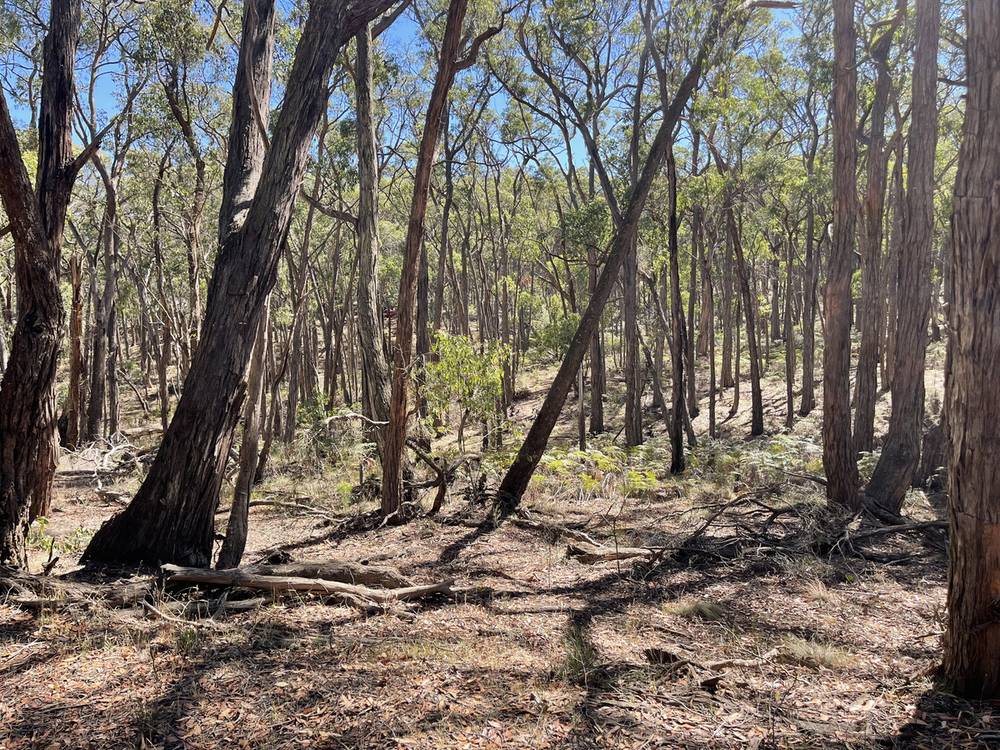 Pittong-Snake Valley Road, Snake Valley, VIC 3351
