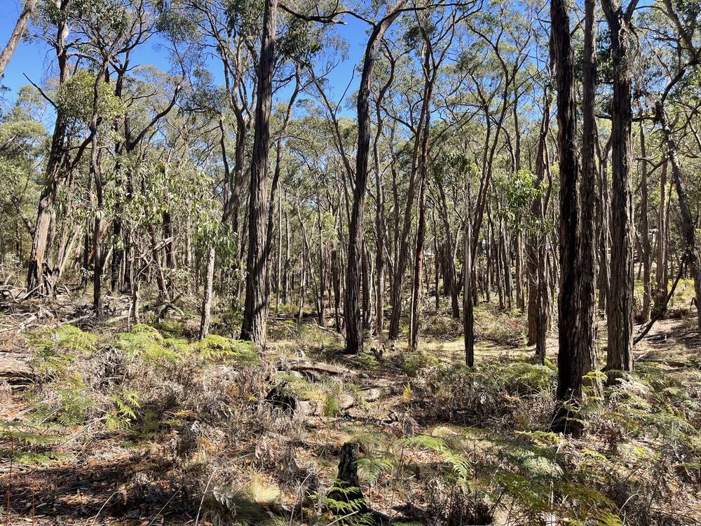 Pittong-Snake Valley Road, Snake Valley, VIC 3351