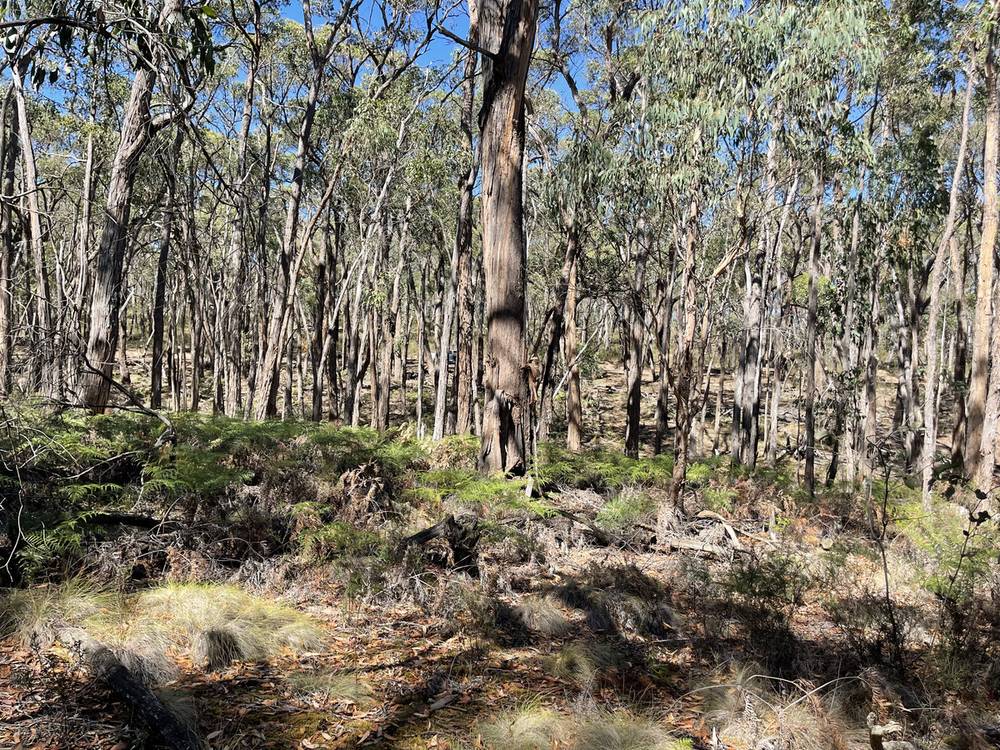 Pittong-Snake Valley Road, Snake Valley, VIC 3351