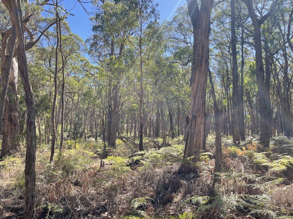 Pittong-Snake Valley Road, Snake Valley, VIC 3351