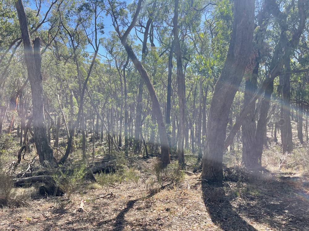 Pittong-Snake Valley Road, Snake Valley, VIC 3351