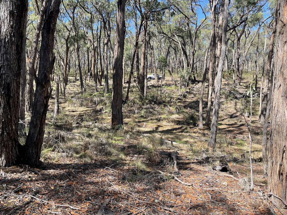 Pittong-Snake Valley Road, Snake Valley, VIC 3351