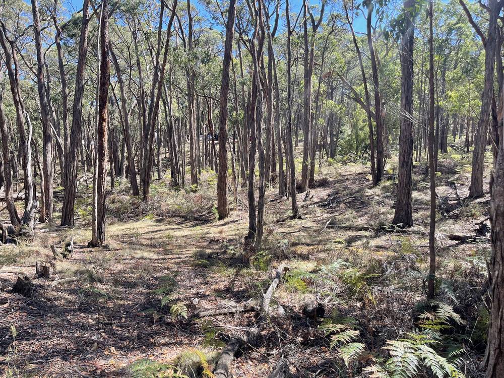 Pittong-Snake Valley Road, Snake Valley, VIC 3351