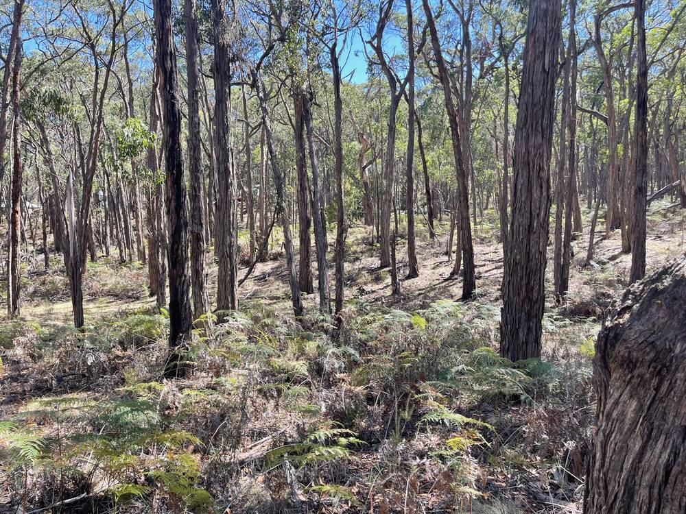 Pittong-Snake Valley Road, Snake Valley, VIC 3351