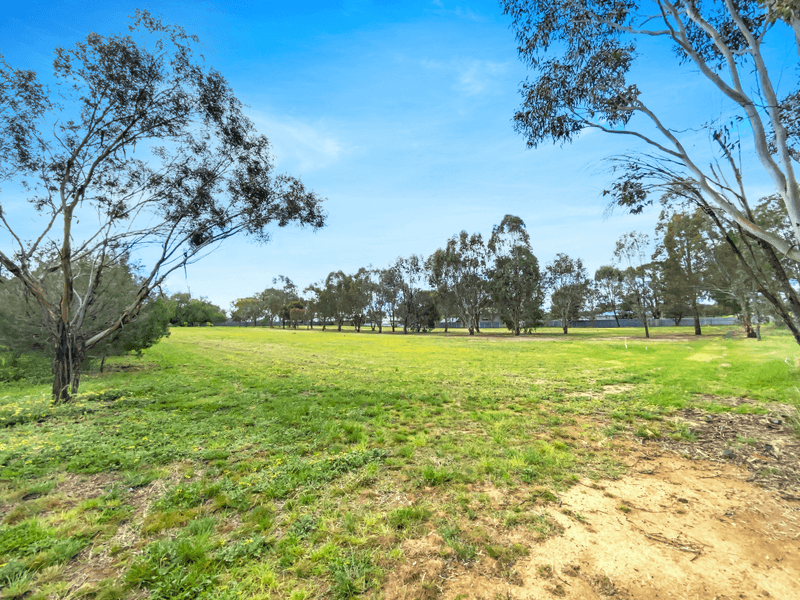 Prince Place, Lake Albert, NSW 2650