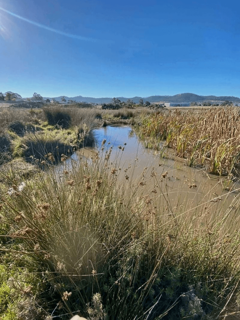 13 Enchantress Street, Rokeby, TAS 7019