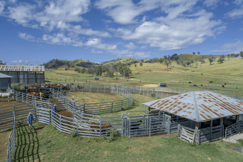 1128 Back Creek Road, UPPER HORTON, NSW 2347