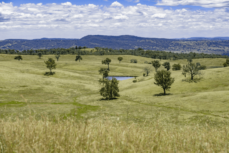 1128 Back Creek Road, UPPER HORTON, NSW 2347