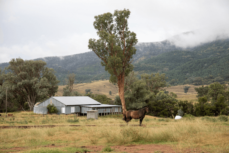 1128 Back Creek Road, UPPER HORTON, NSW 2347