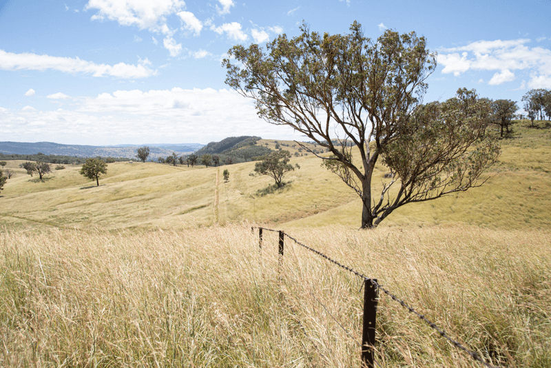 1128 Back Creek Road, UPPER HORTON, NSW 2347