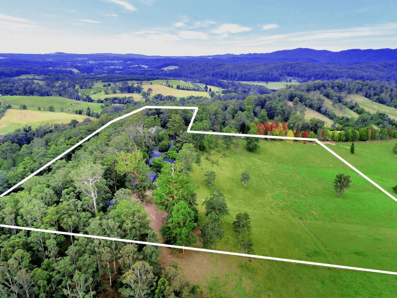 2749 Waterfall Way, Thora, NSW 2454