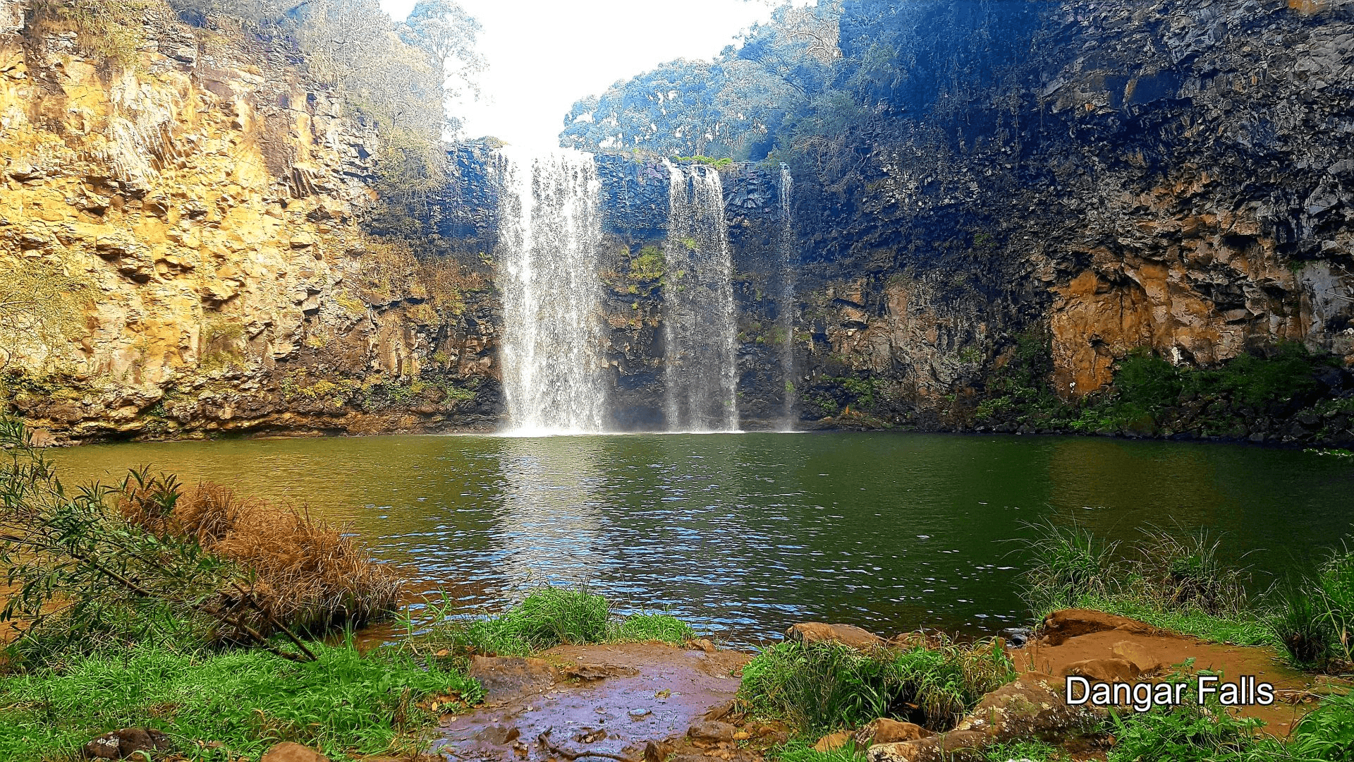 2749 Waterfall Way, Thora, NSW 2454