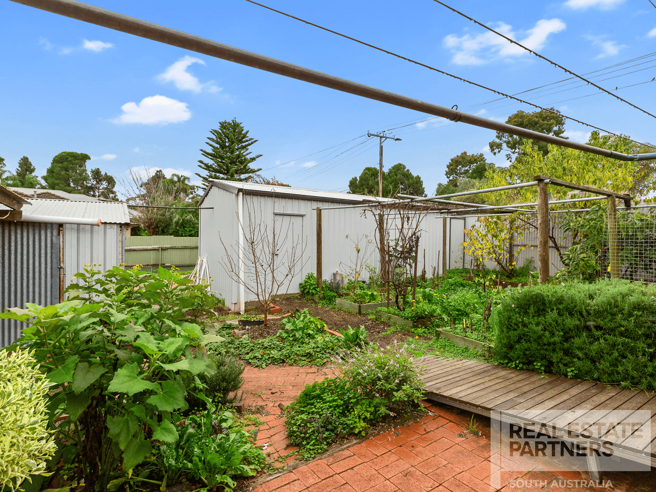 10 Macdonnell Street, HIGHBURY, SA 5089