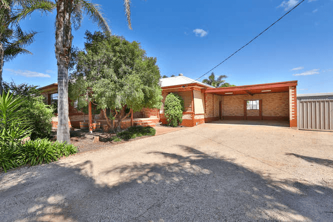 145 Pawson Avenue, RED CLIFFS, VIC 3496