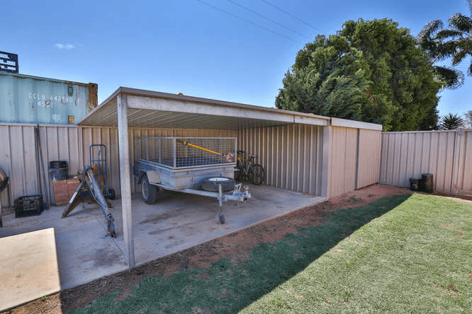 145 Pawson Avenue, RED CLIFFS, VIC 3496