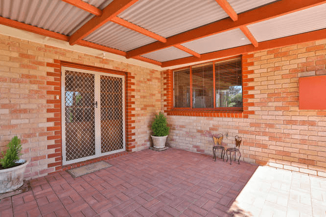 145 Pawson Avenue, RED CLIFFS, VIC 3496