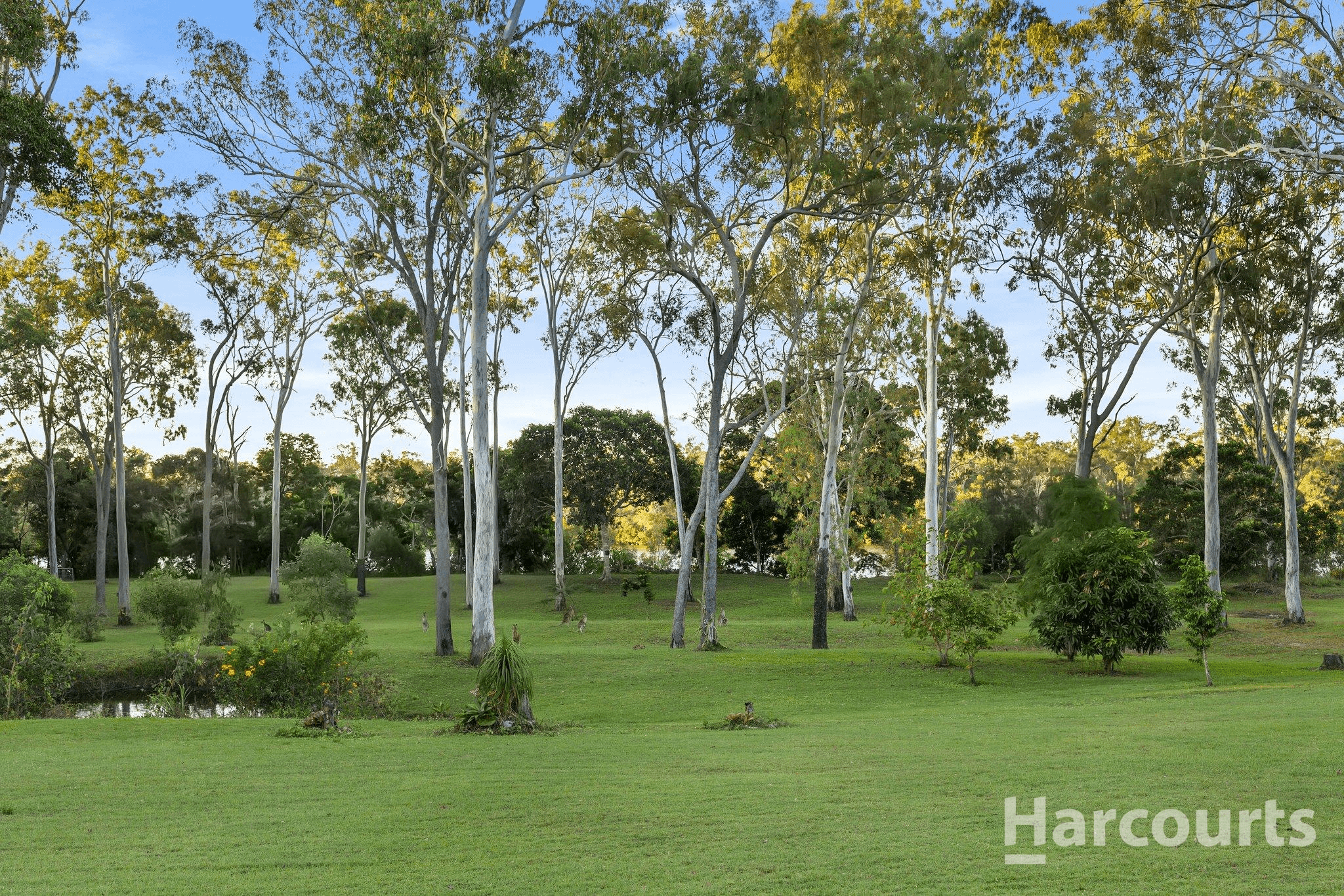 210 Pacific Haven Circuit, PACIFIC HAVEN, QLD 4659