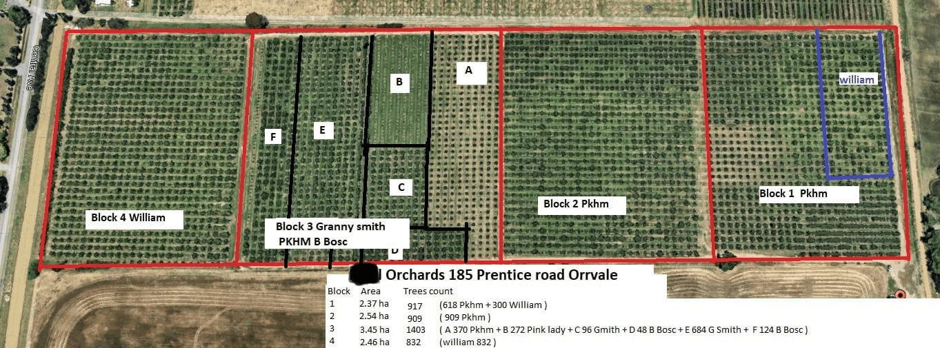 185 Prentice Rd, Orrvale, VIC 3631