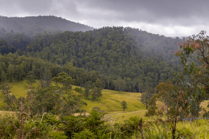 214 Eaglehawk Trail, YARROWITCH, NSW 2354