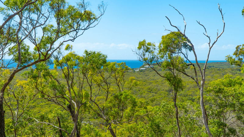 24 Fitzroy Cres, AGNES WATER, QLD 4677