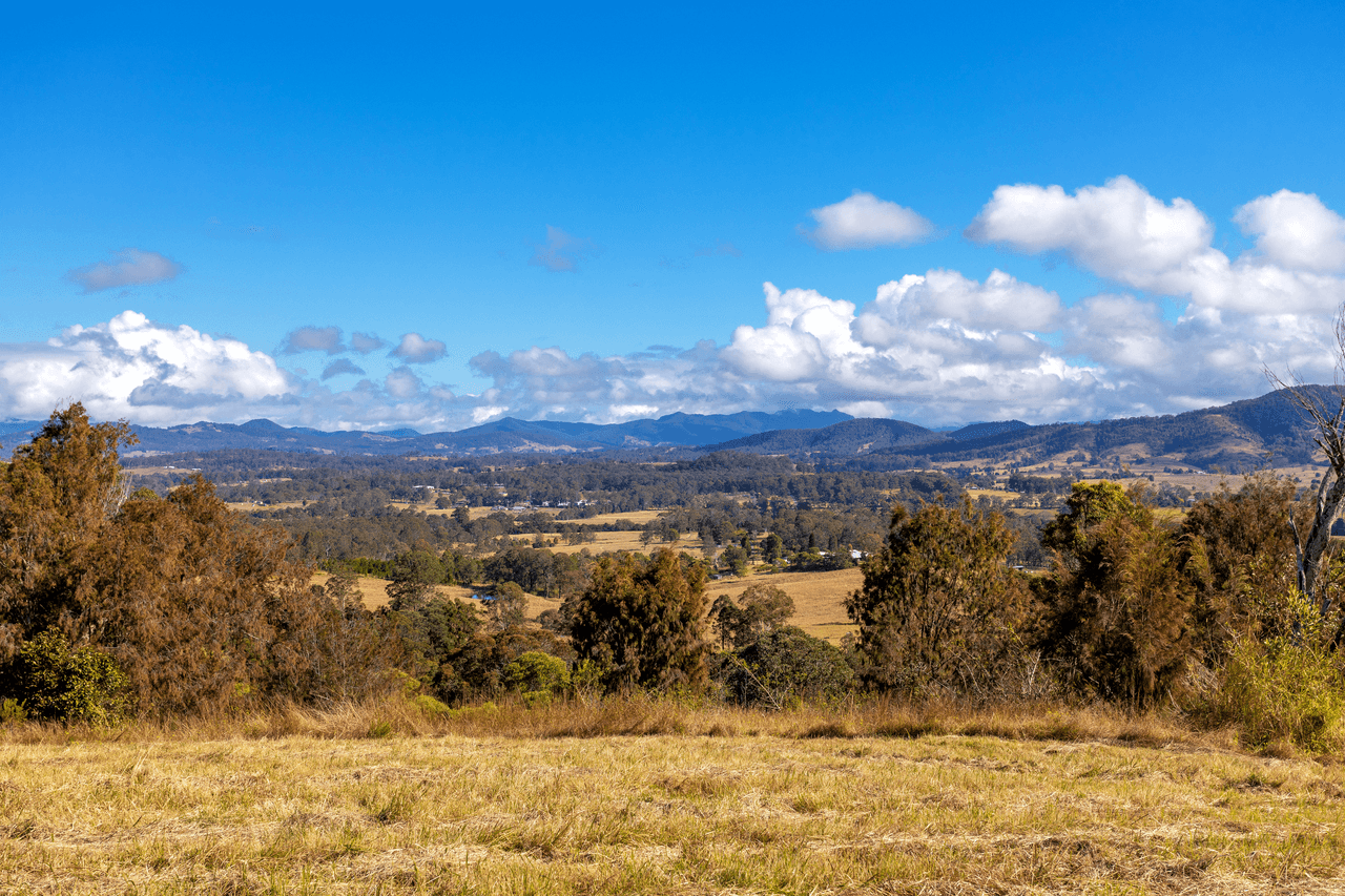 106 Carey Road, WINGHAM, NSW 2429