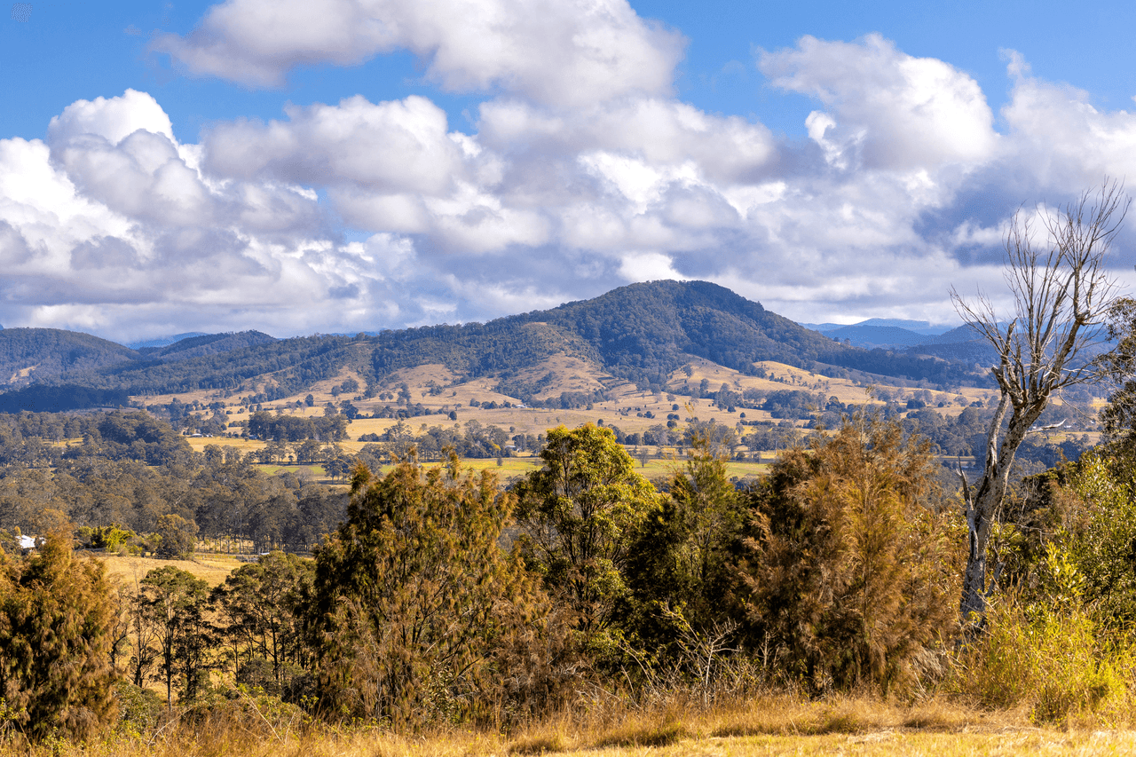 106 Carey Road, WINGHAM, NSW 2429