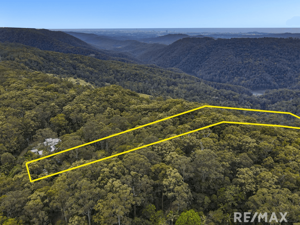 1949 Springbrook Road, SPRINGBROOK, QLD 4213