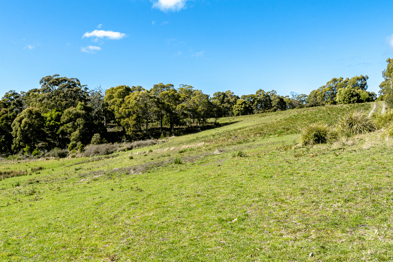 674 Nubeena Road, KOONYA, TAS 7187