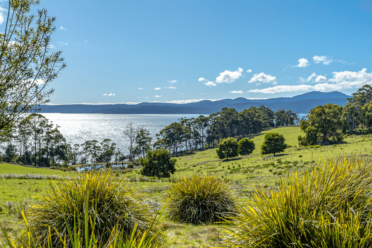 674 Nubeena Road, KOONYA, TAS 7187