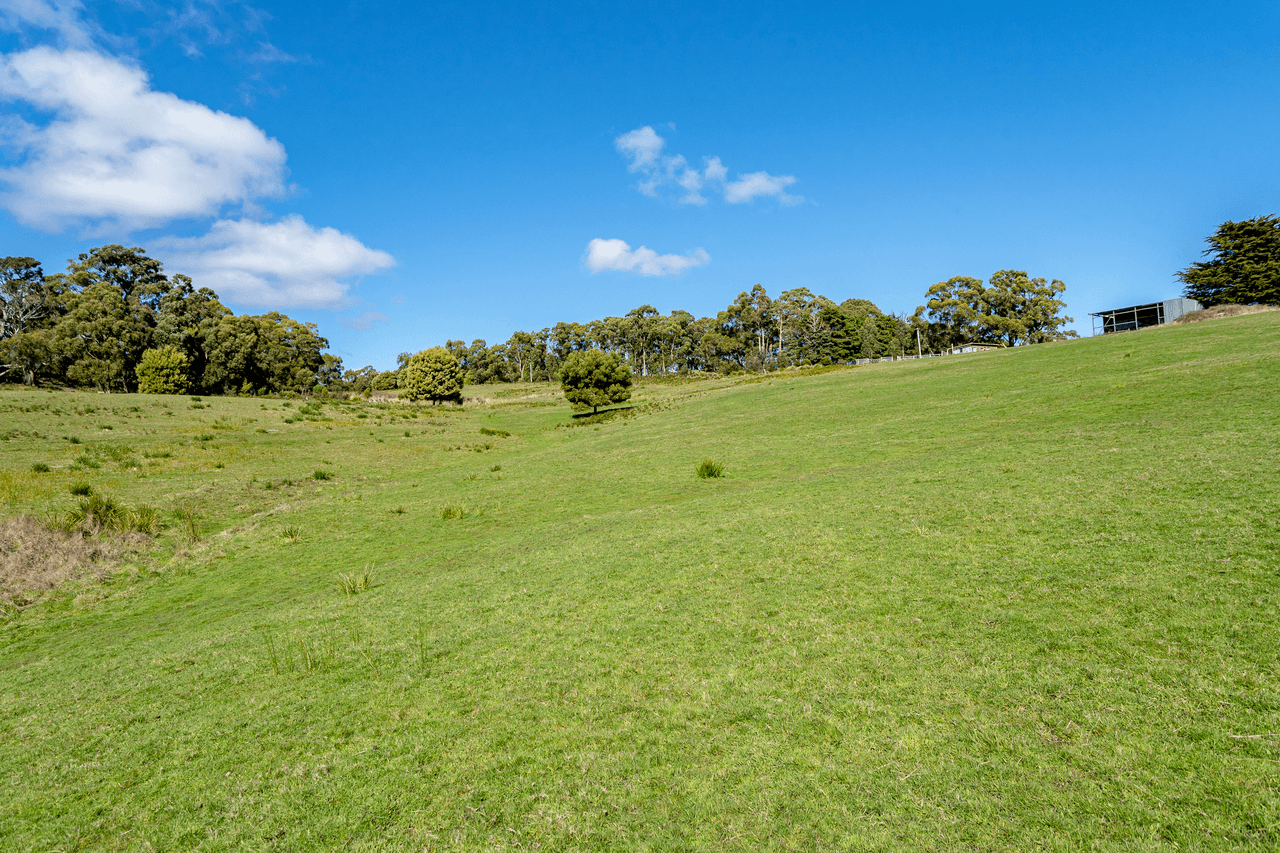 674 Nubeena Road, KOONYA, TAS 7187