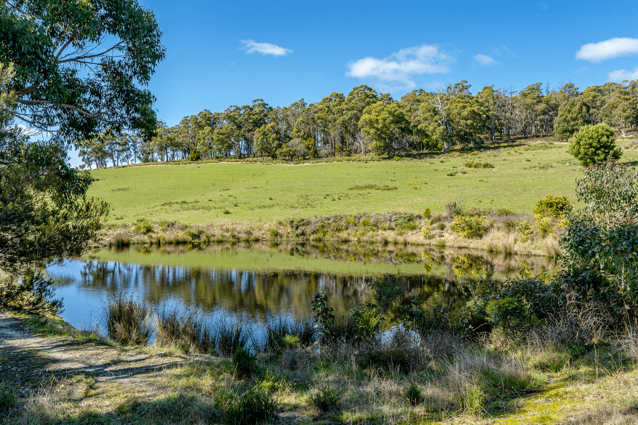 674 Nubeena Road, KOONYA, TAS 7187