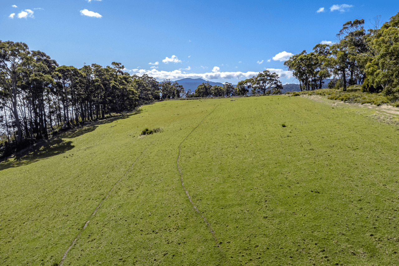 674 Nubeena Road, KOONYA, TAS 7187