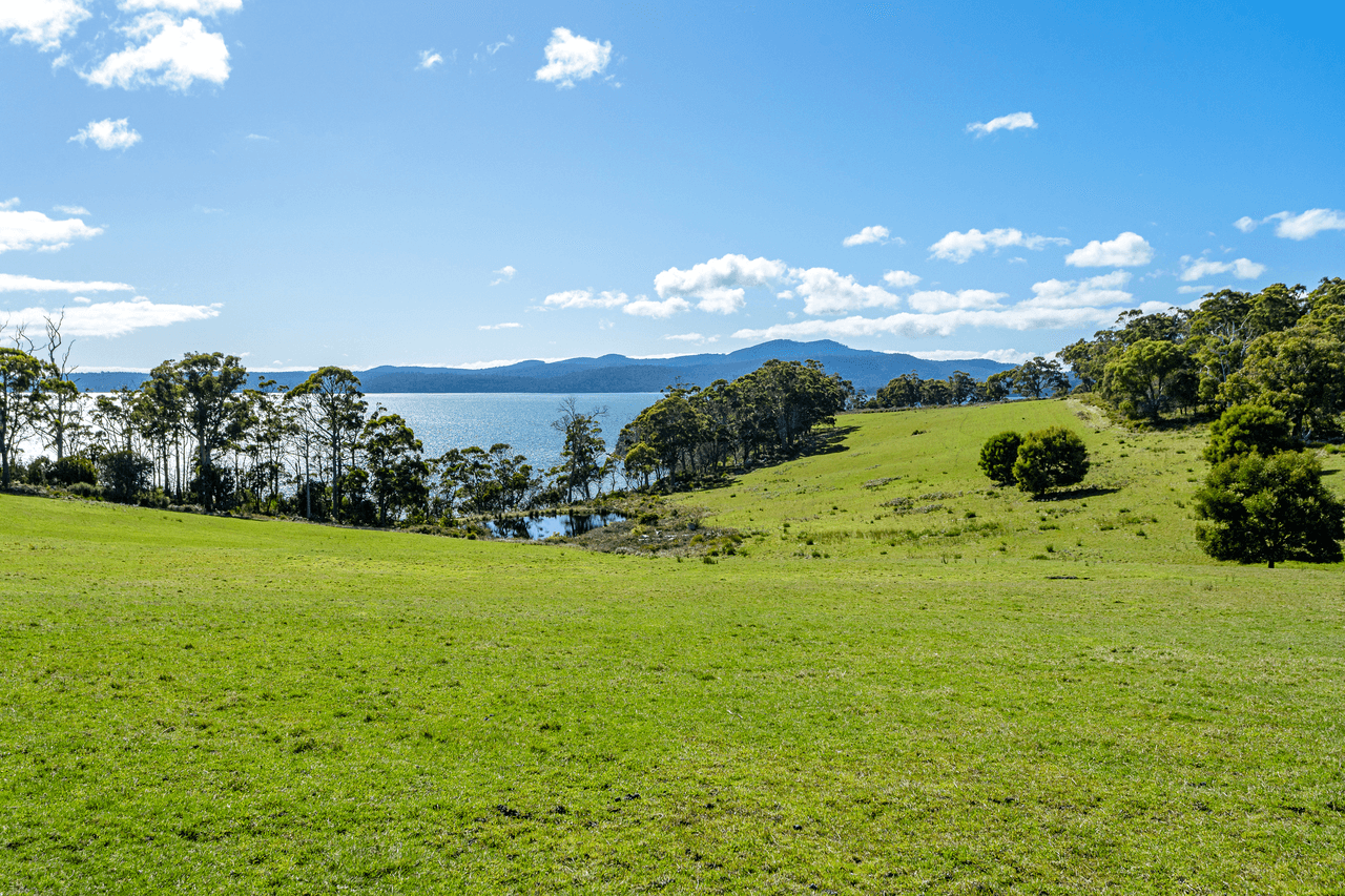 674 Nubeena Road, KOONYA, TAS 7187