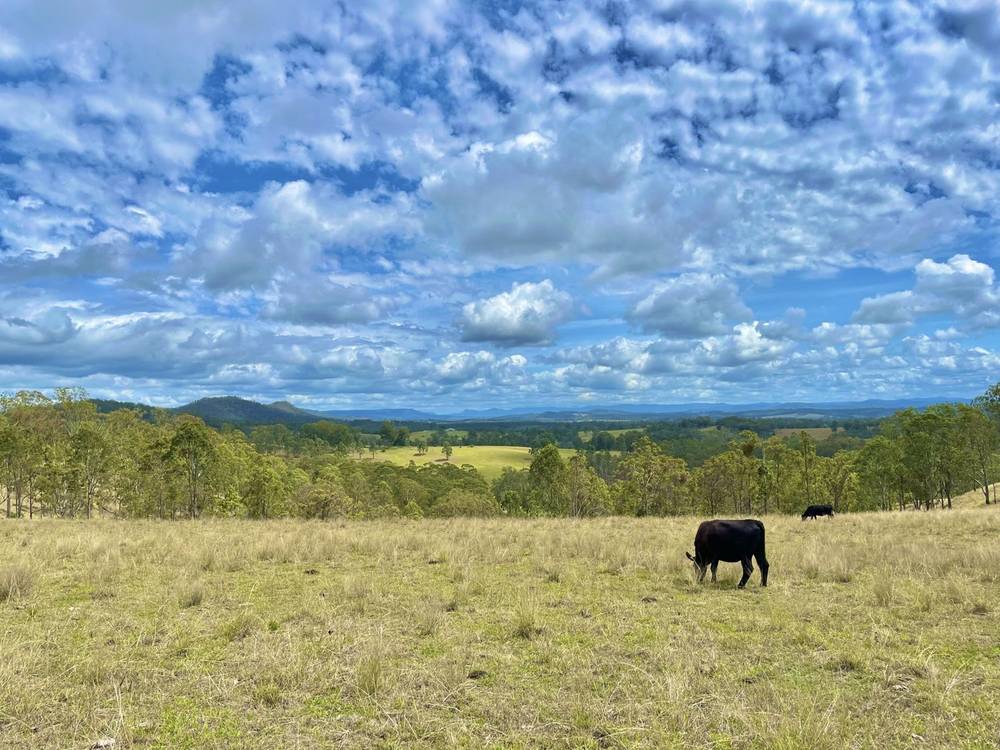 213 Dyraaba Road, PIORA, NSW 2470
