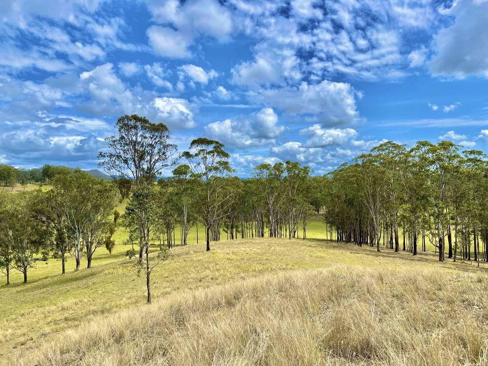 213 Dyraaba Road, PIORA, NSW 2470