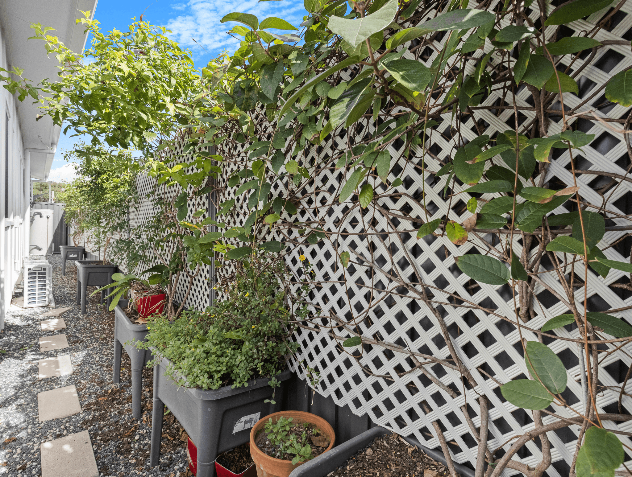 20/835 Boat Harbour Drive, URANGAN, QLD 4655