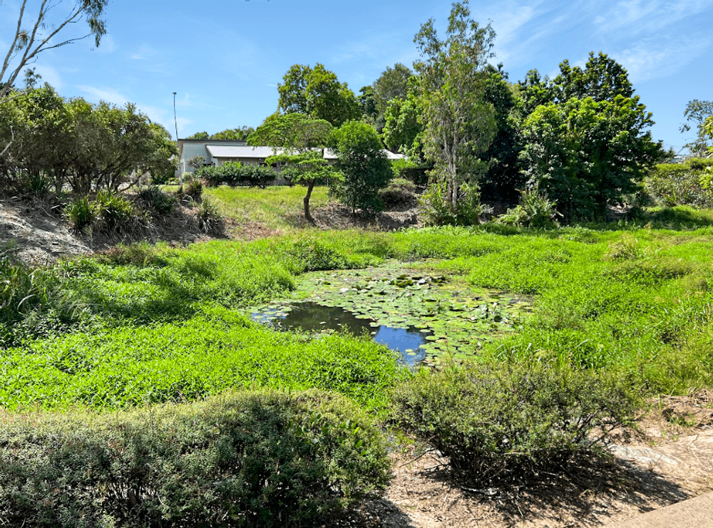 41 Thornborough Circuit, Smithfield, QLD 4878