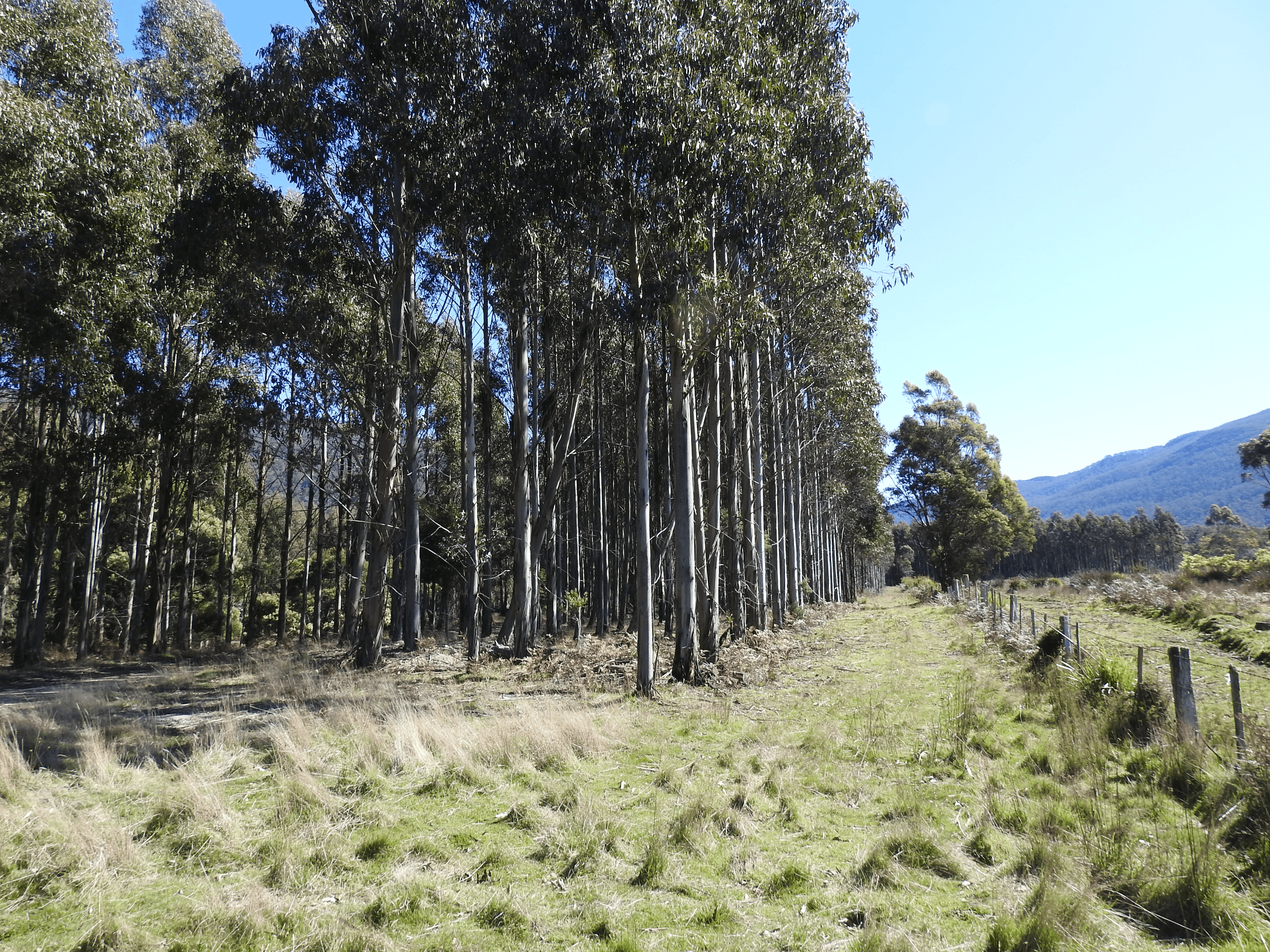 Tubbs Road, BLACKWOOD CREEK, TAS 7301