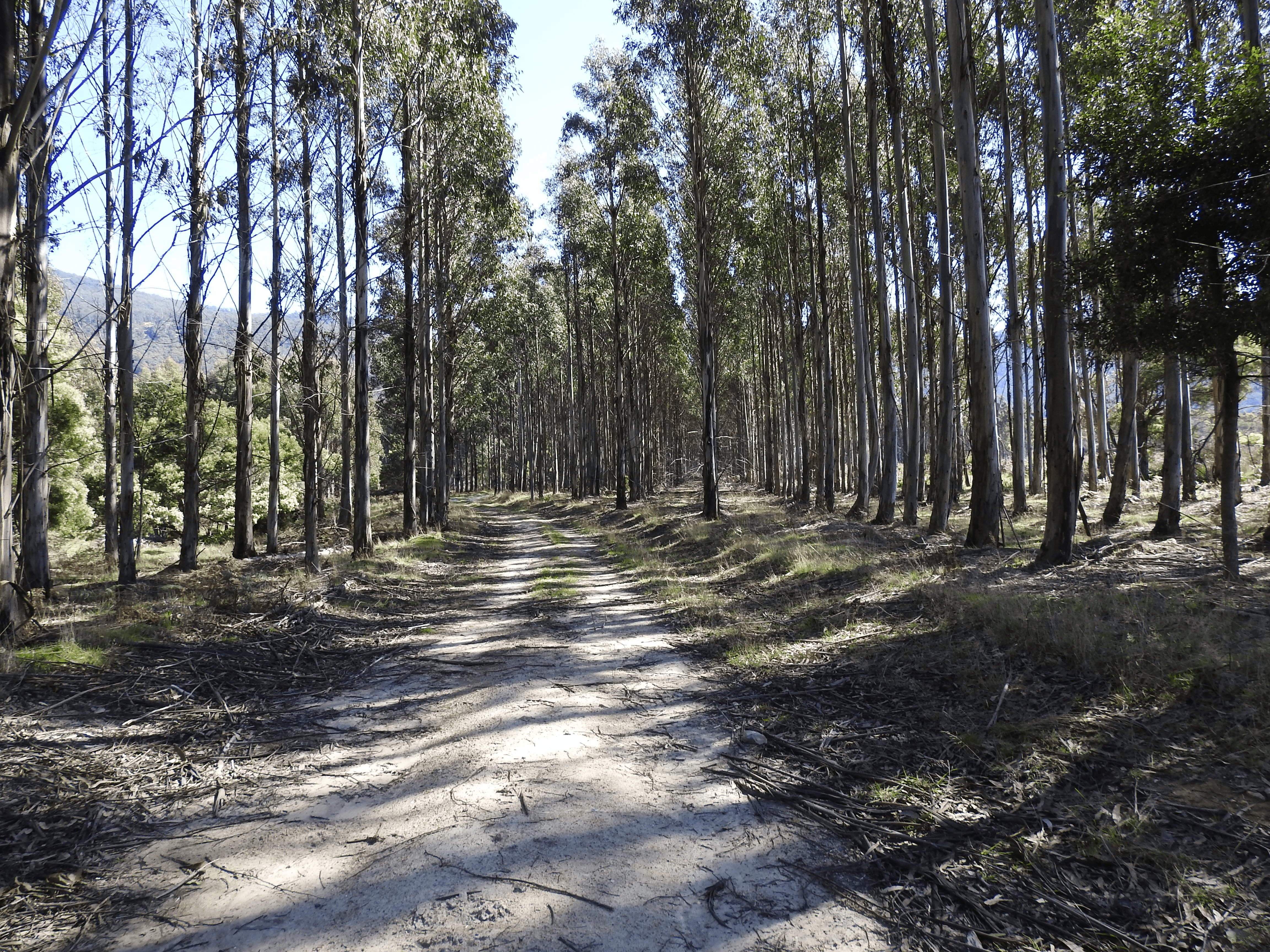 Tubbs Road, BLACKWOOD CREEK, TAS 7301