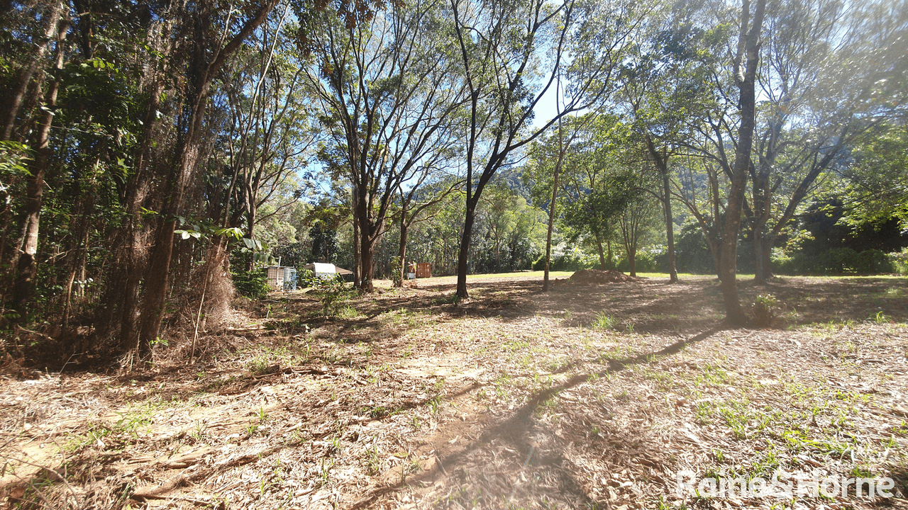 Lot 54 George Road, FOREST CREEK, QLD 4873