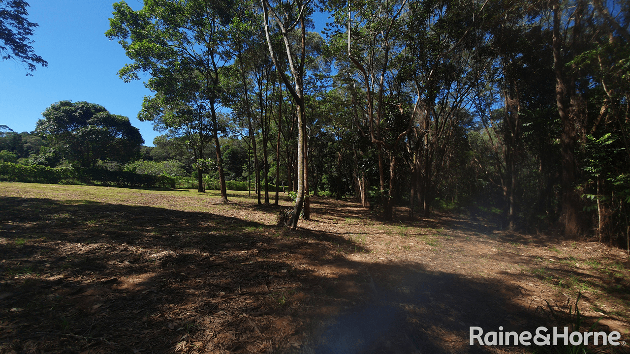 Lot 54 George Road, FOREST CREEK, QLD 4873