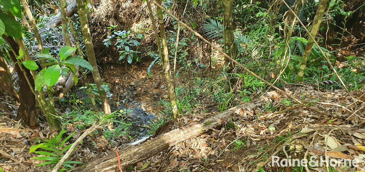 Lot 54 George Road, FOREST CREEK, QLD 4873