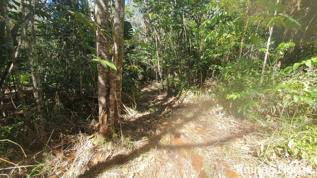 Lot 54 George Road, FOREST CREEK, QLD 4873