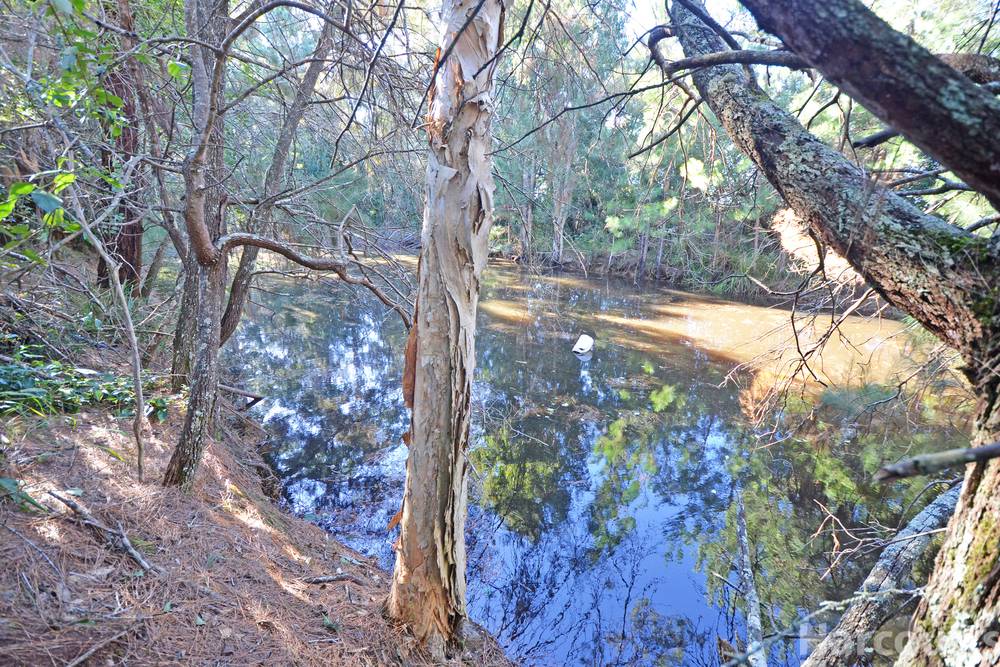 115 Jericho Road, Moorland, NSW 2443