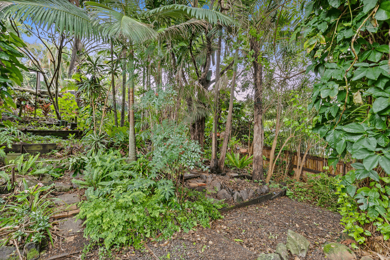 16 Hoop Pine Court, BUDERIM, QLD 4556