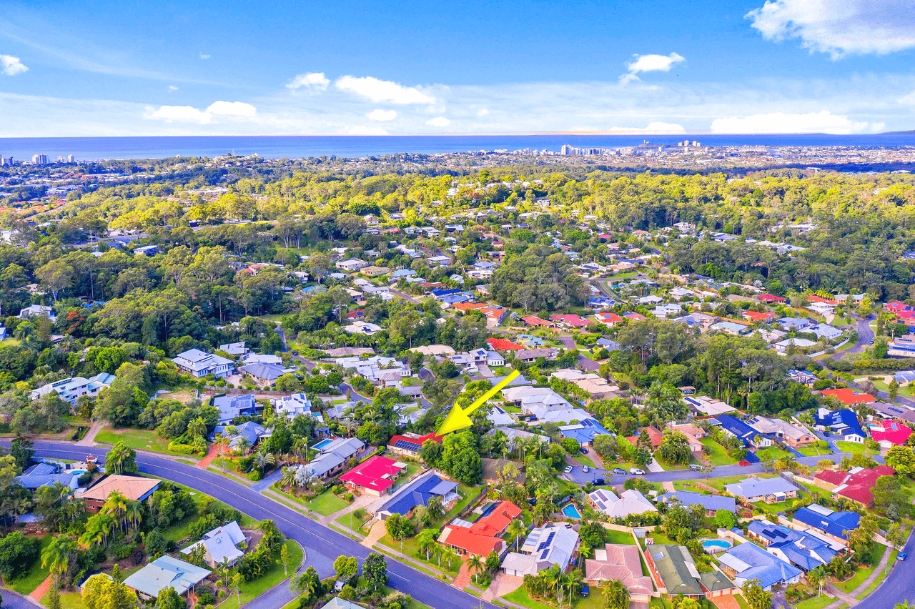 16 Hoop Pine Court, BUDERIM, QLD 4556