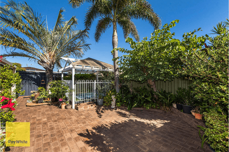 22 Swallow Loop, HIGH WYCOMBE, WA 6057