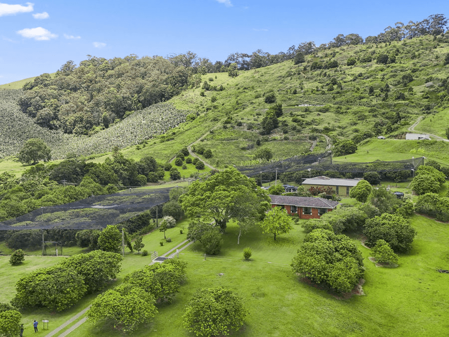 169 South Boambee Road, BOAMBEE, NSW 2450