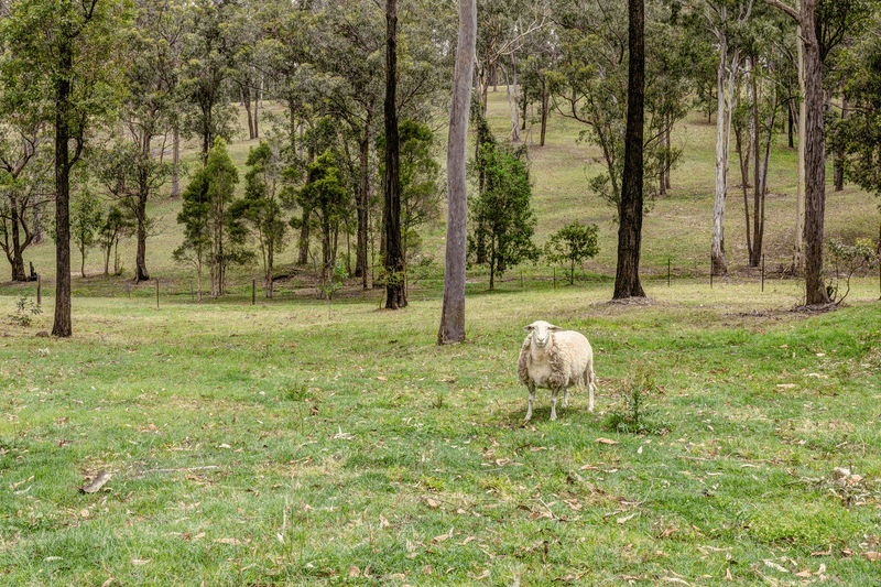 82 Sheriff Street, CLARENCE TOWN, NSW 2321