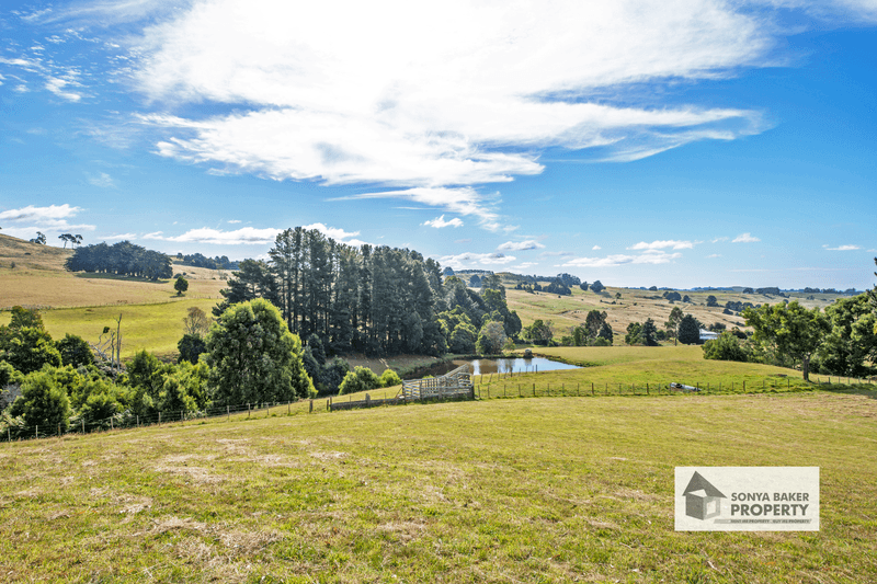 1280 Murchison Highway, ELLIOTT, TAS 7325